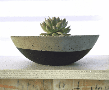 theartspacecollectivesucculents