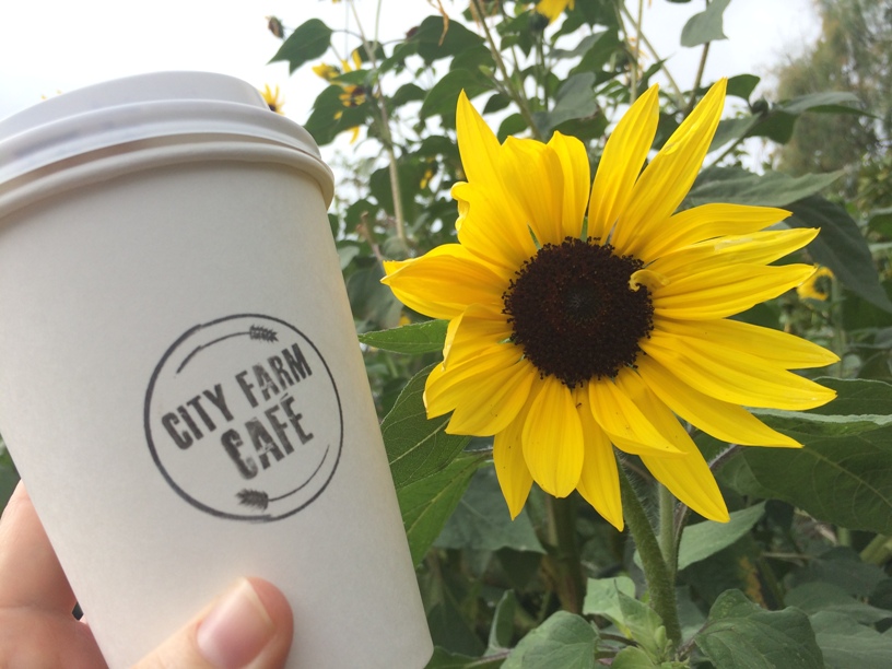 Your visit to the city isn't complete without a trip the Perth City Farm and Cafe