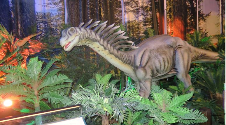 dinosaurdiscoverydinosaur2