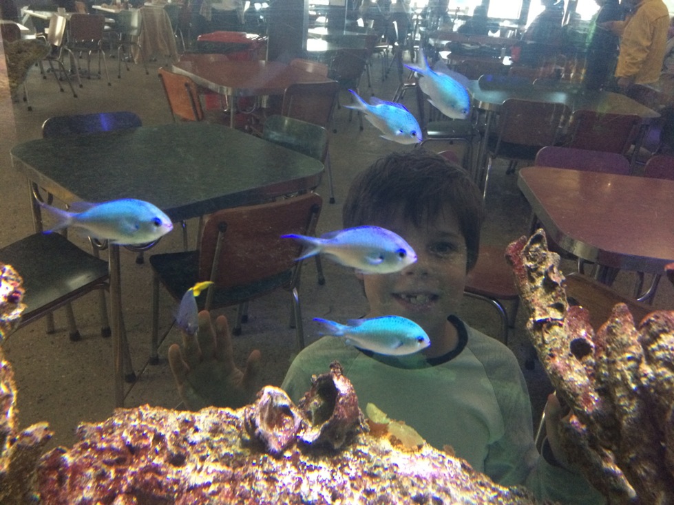 Cicerellos Fremantle Aquariums