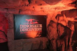dinosaurdiscoverysign