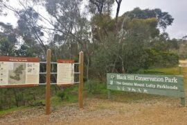 Black Hill Conservation Park Office Magill