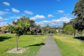 Brougham Gardens (Park 29) North Adelaide