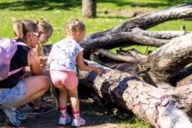 Things to do with Kids in the Suburb of Lobethal South Australia