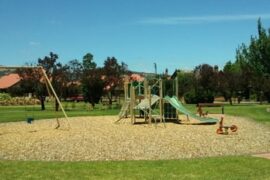 Things to do with Kids in the Suburb of Toorak Gardens Adelaide