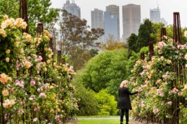 royal botanic gardens in melbourne
